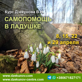 courses
